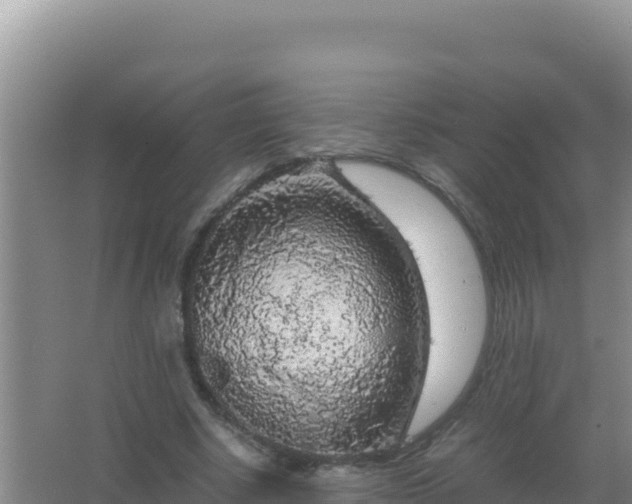 X0000067500634200604150108