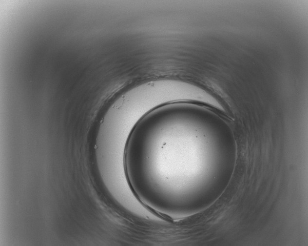 X0000067500635200604150108