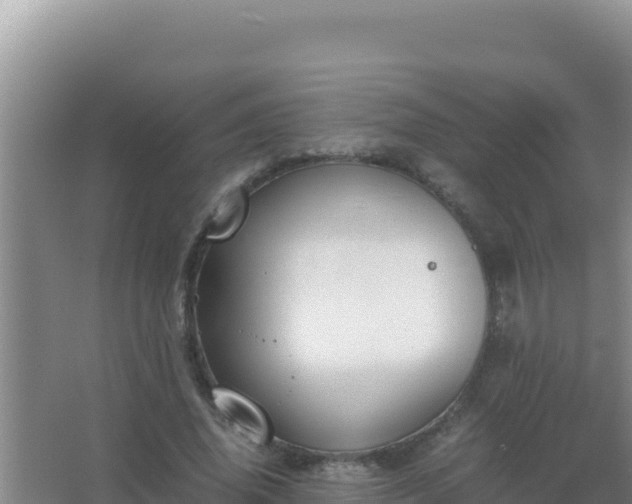 X0000067500636200604150108