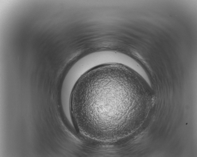 X0000067500637200604150108