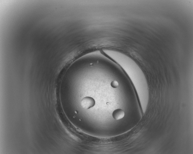 X0000067500638200604150108