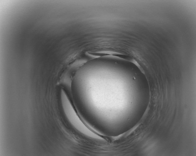 X0000067500639200604150108