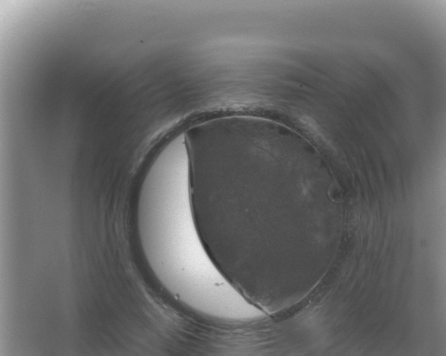 X0000067500640200604150108