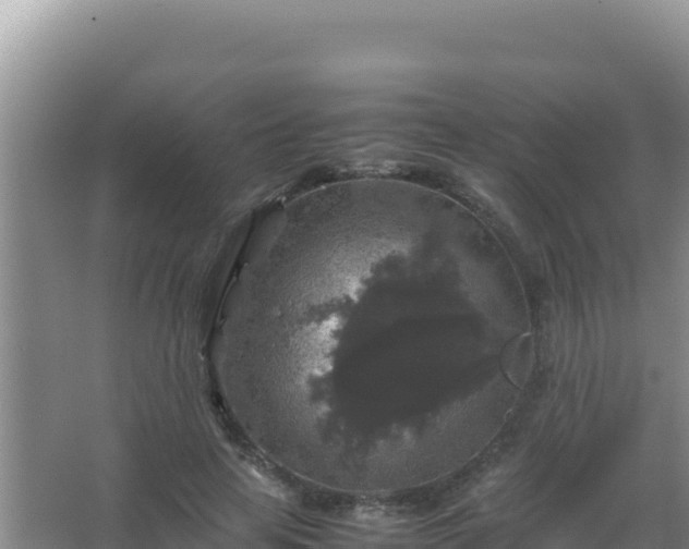 X0000067500641200604150108