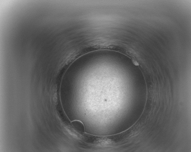 X0000067500642200604150108