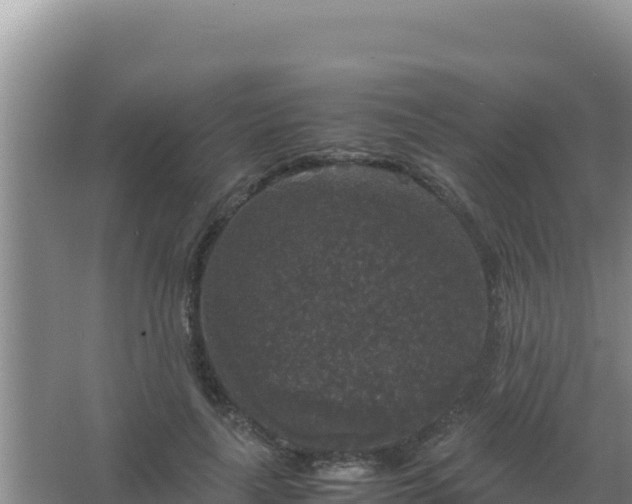 X0000067500643200604150109