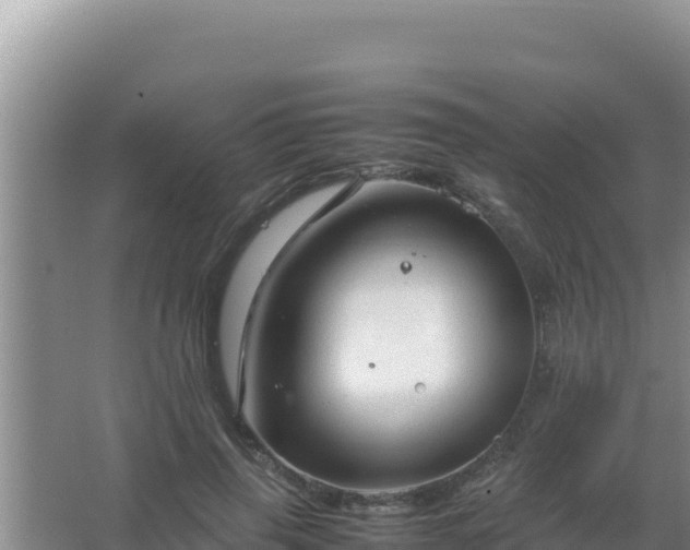 X0000067500645200604150109