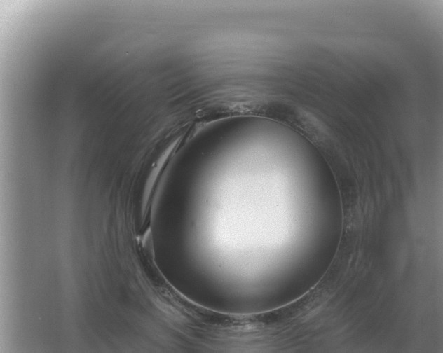 X0000067500646200604150109