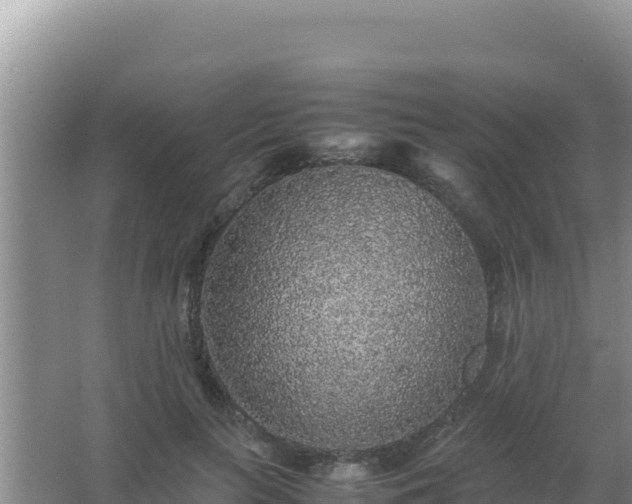 X0000067500647200604150109