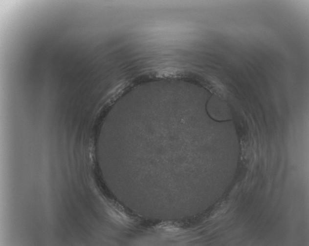 X0000067500648200604150109