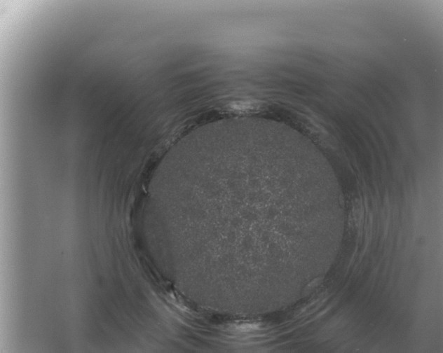 X0000067500651200604150109