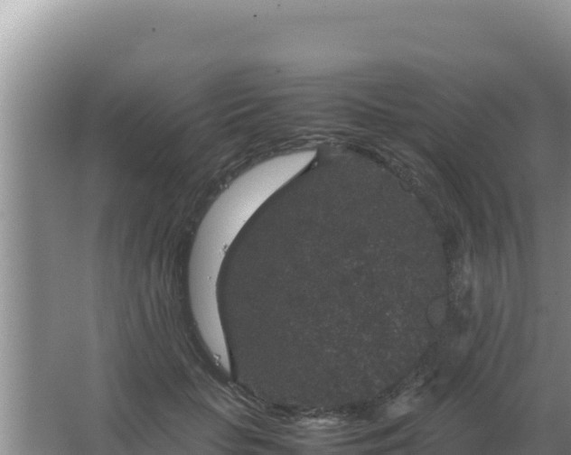 X0000067500653200604150109