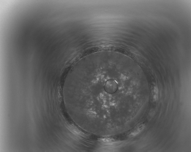 X0000067500654200604150109