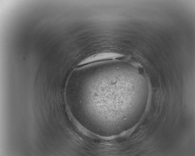 X0000067500655200604150109