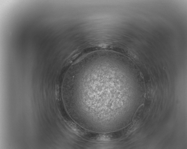 X0000067500656200604150109