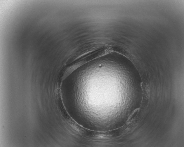 X0000067500657200604150109