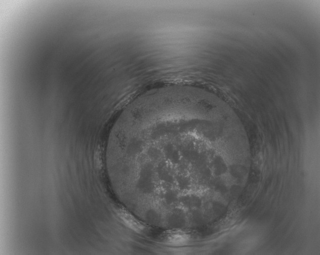 X0000067500658200604150109