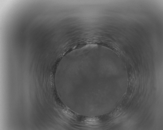 X0000067500659200604150109