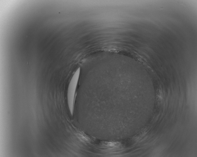 X0000067500663200604150109