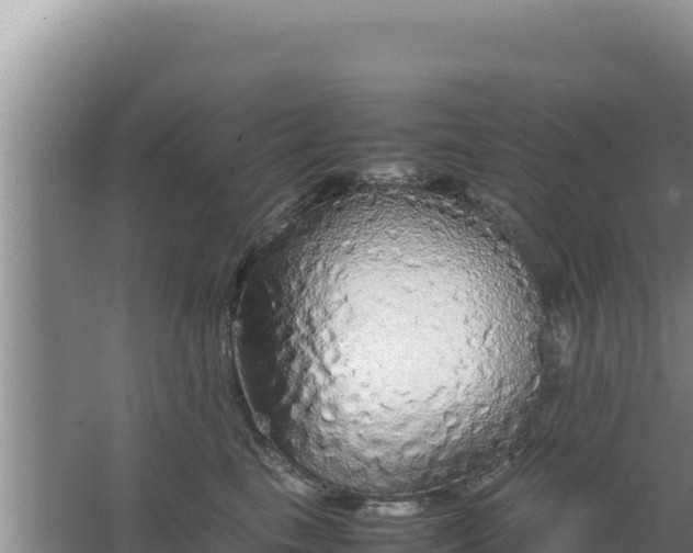 X0000067500665200604150109