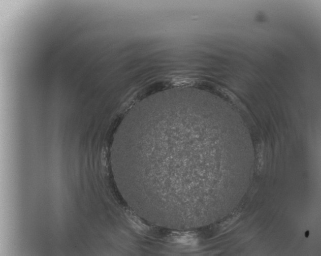 X0000067500667200604150109