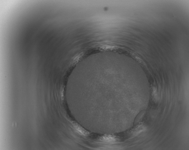 X0000067500668200604150109