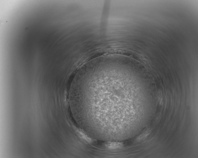 X0000067500670200604150109