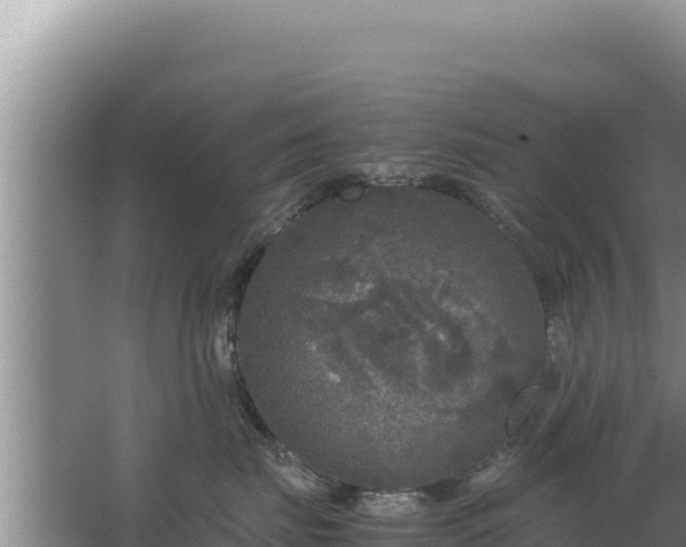 X0000067500671200604150109