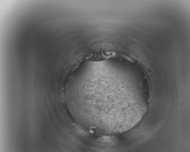 X0000067500672200604150109