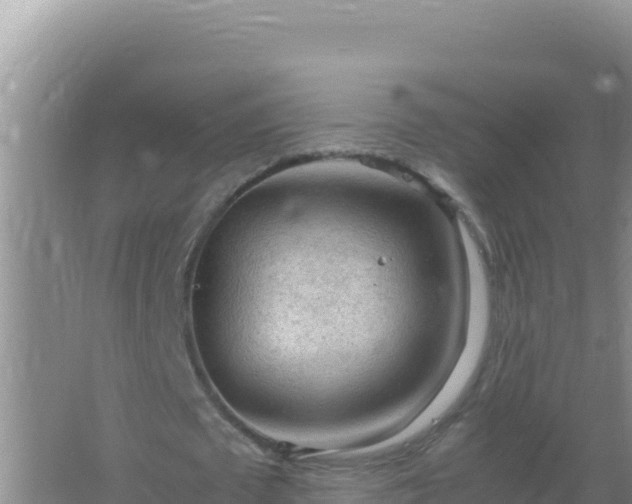 X0000067500673200604150108