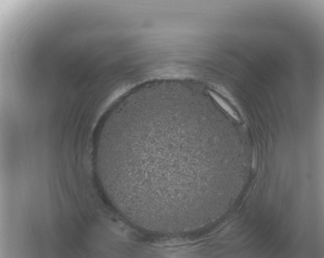 X0000067500675200604150108