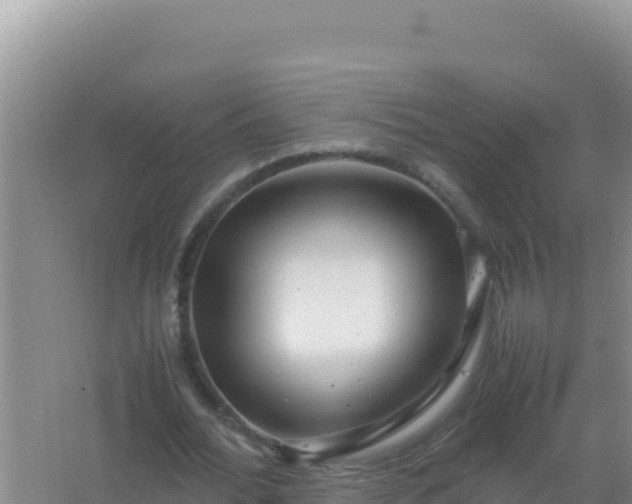 X0000067500676200604150108