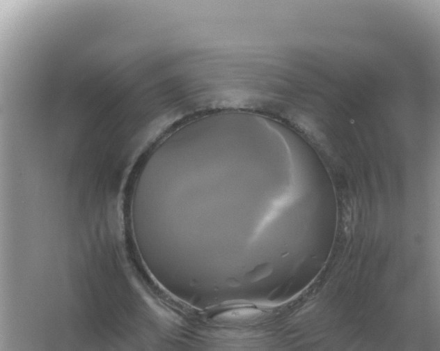 X0000067500678200604150108