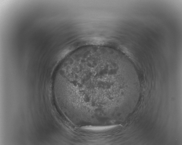 X0000067500679200604150108