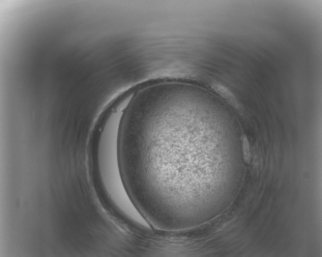 X0000067500680200604150108