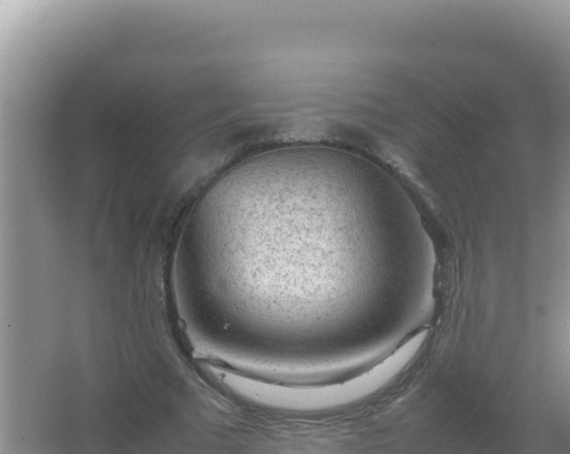 X0000067500681200604150108