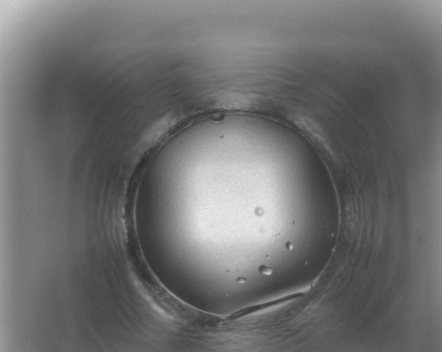 X0000067500682200604150108