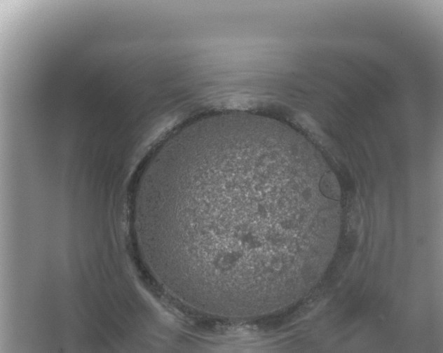 X0000067500683200604150108