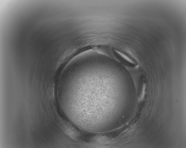 X0000067500685200604150108