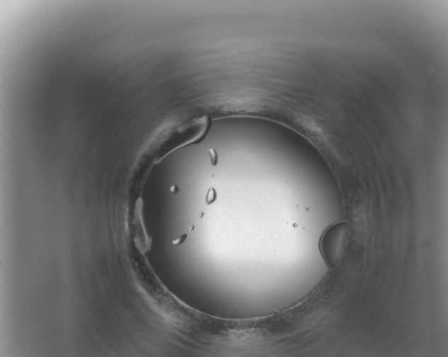 X0000067500686200604150108