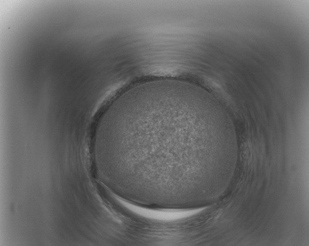 X0000067500688200604150108