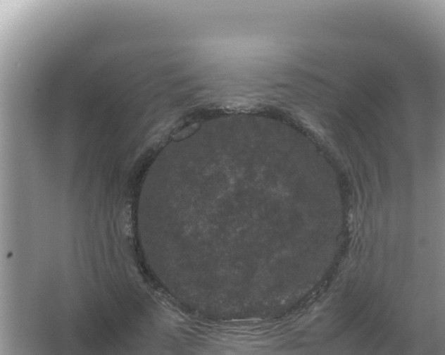 X0000067500689200604150108