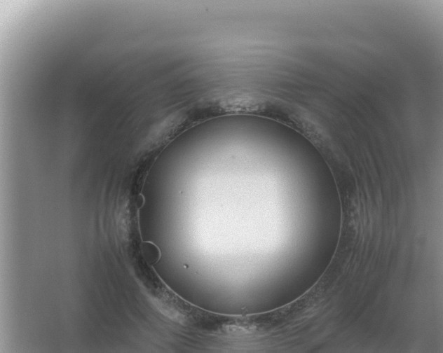 X0000067500690200604150108