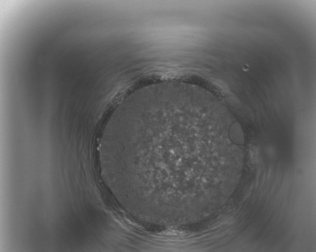 X0000067500691200604150108