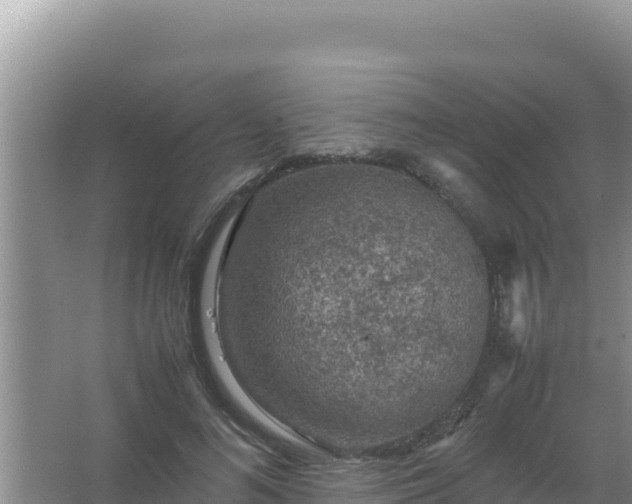 X0000067500692200604150108