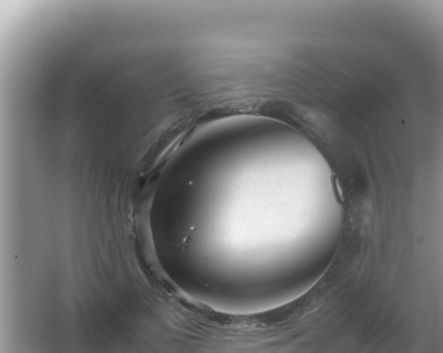 X0000067500693200604150108