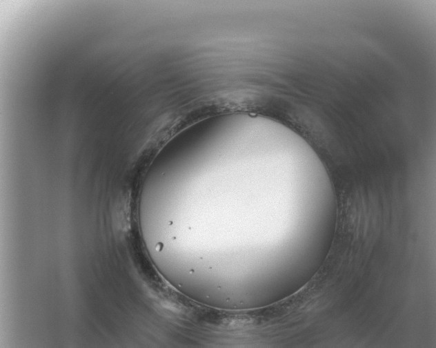 X0000067500694200604150108