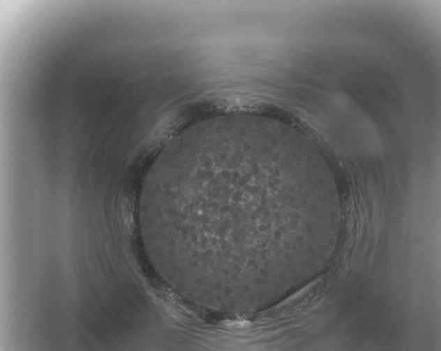 X0000067500695200604150108