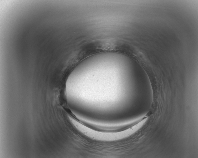 X0000067500697200604150108