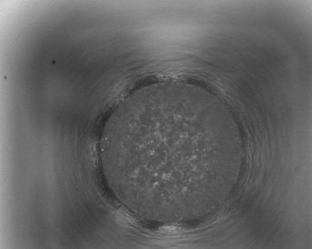 X0000067500699200604150108